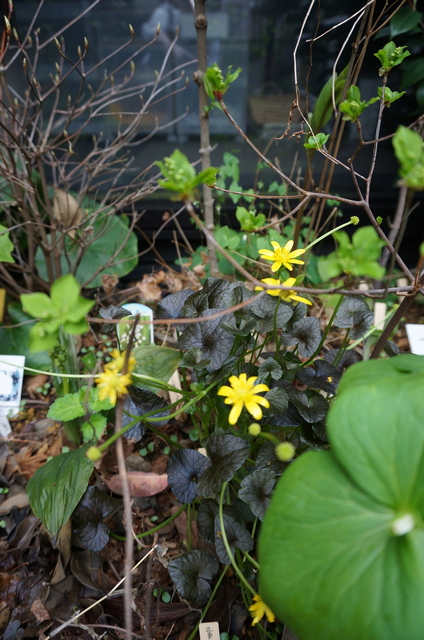 DSC05822.jpg