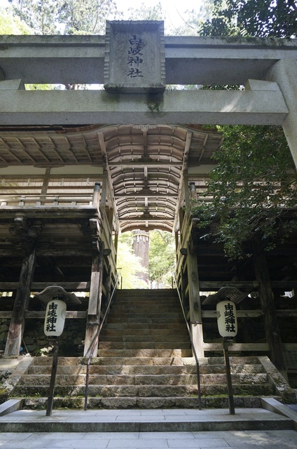 DSC06118.jpg
