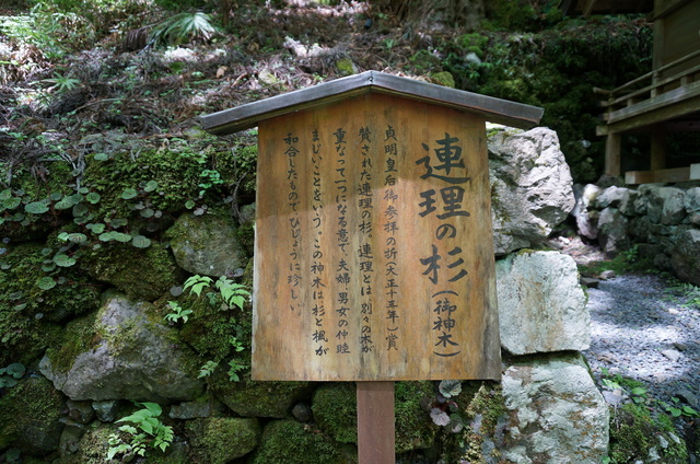 DSC06209.JPG