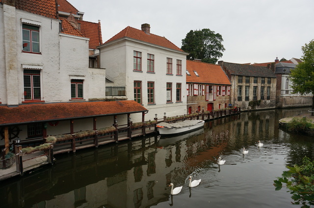 DSC08471.JPG