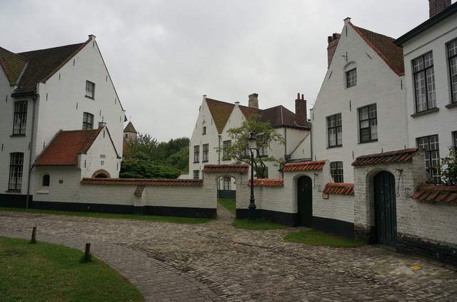 DSC08541.JPG