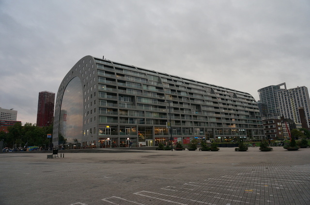 DSC08729.JPG