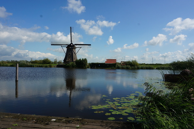 DSC08857.JPG