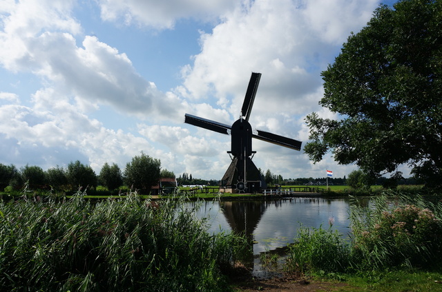 DSC08874.JPG