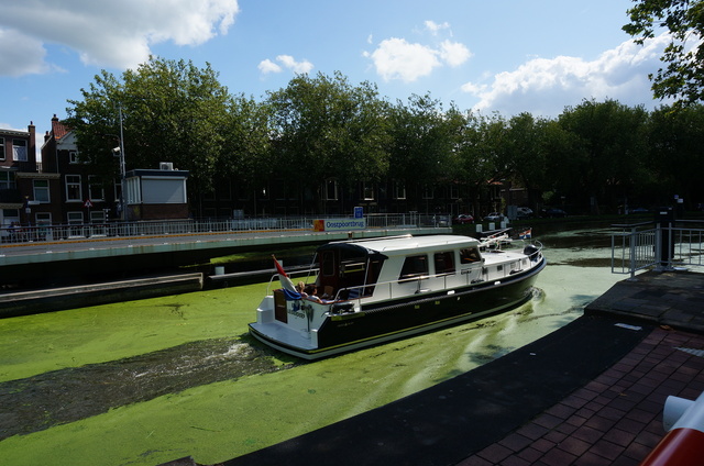 DSC08927.JPG