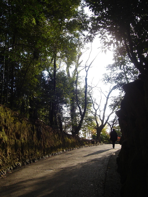 DSC09183.JPG