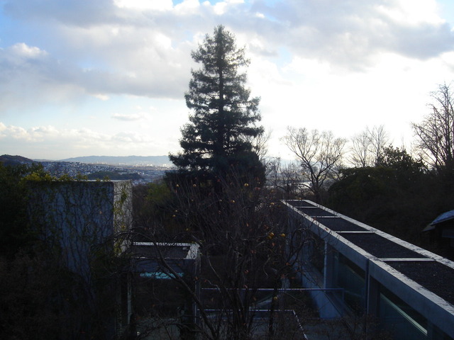 DSC09208.JPG