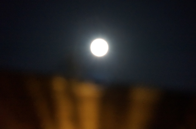 DSC09437.JPG