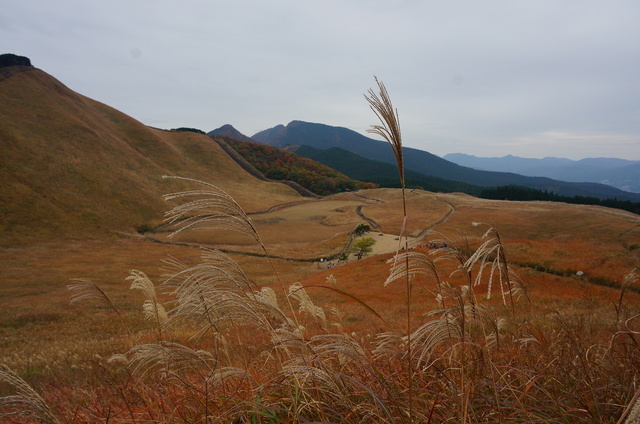 DSC09869.JPG