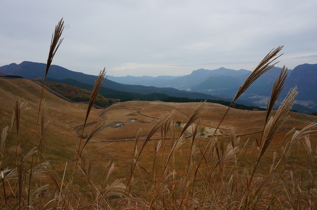DSC09880.JPG