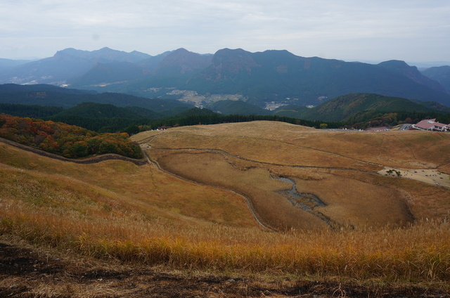 DSC09909.JPG