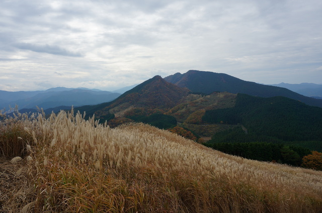 DSC09924.JPG