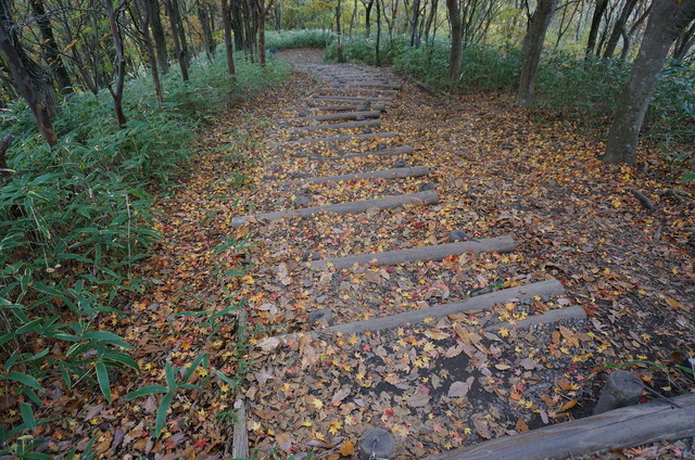 DSC09941.JPG