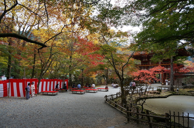 DSC09959.JPG