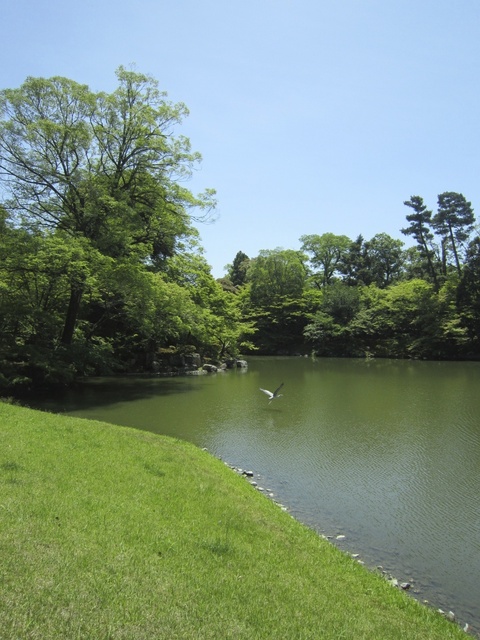 IMG_0067.jpg