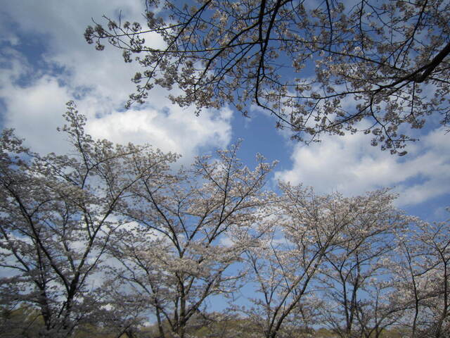 IMG_0687.JPG