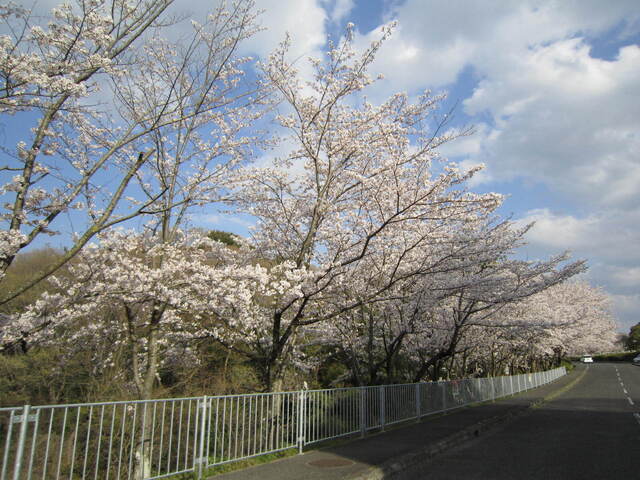 IMG_0690.JPG