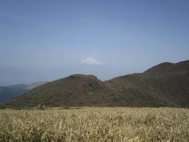 IMG_1527.JPG
