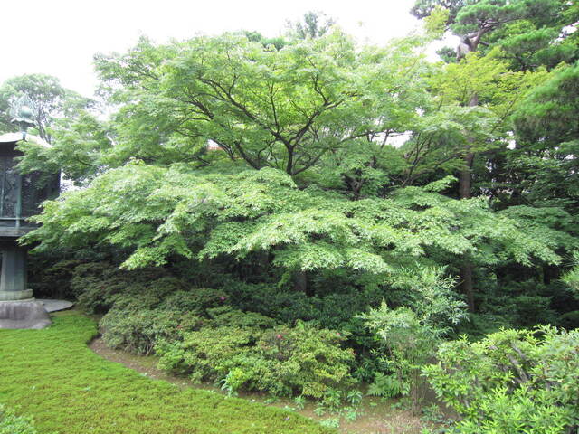 IMG_2435.JPG