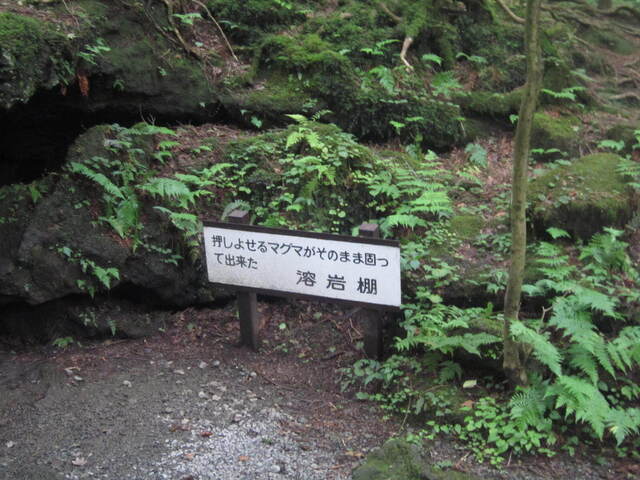 IMG_3673.JPG