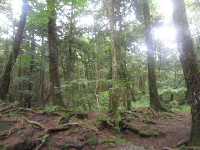 IMG_3676.JPG