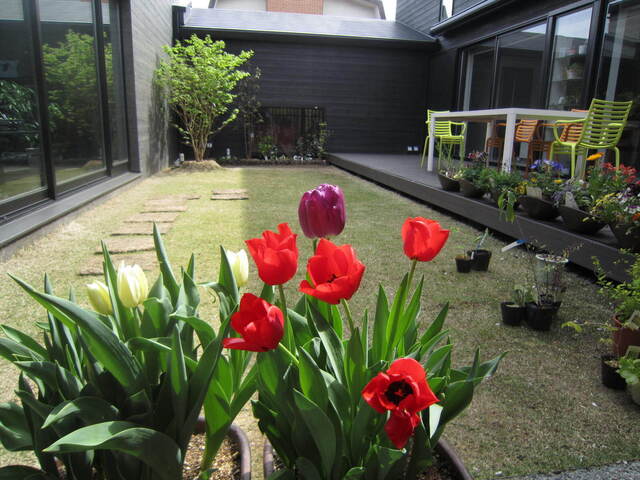 IMG_8164.JPG