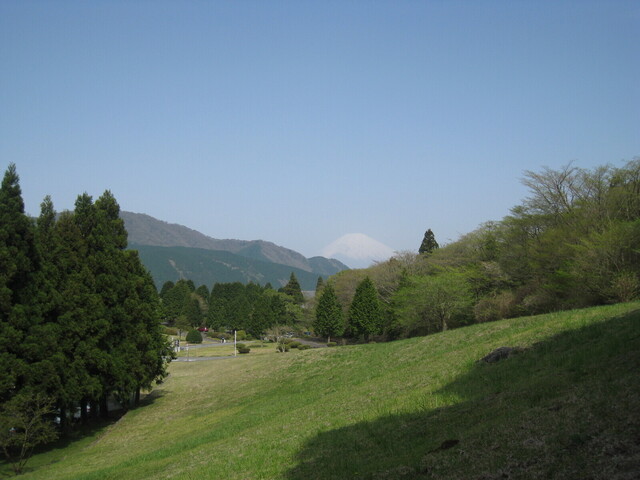 IMG_8721.JPG
