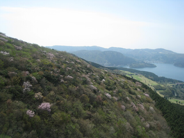 IMG_8750.JPG