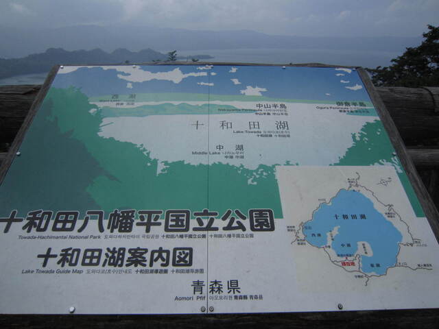 IMG_9864.JPG