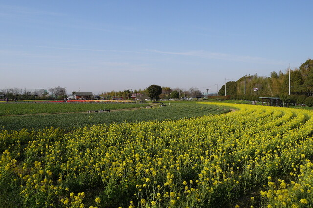 P1090075.JPG