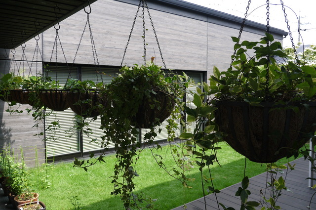 P1100203.JPG