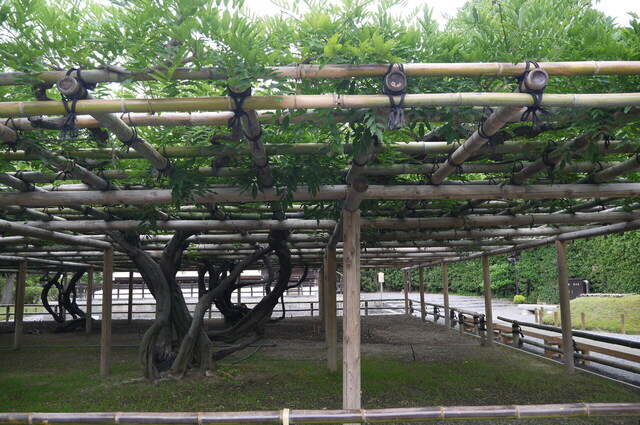 P1100364.JPG