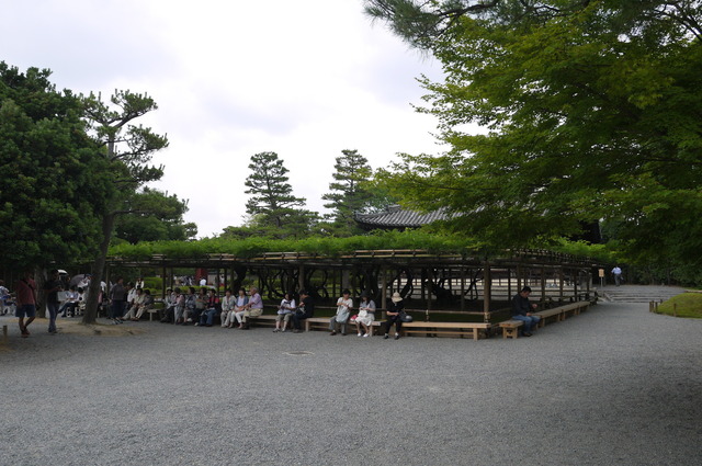 P1100368.JPG