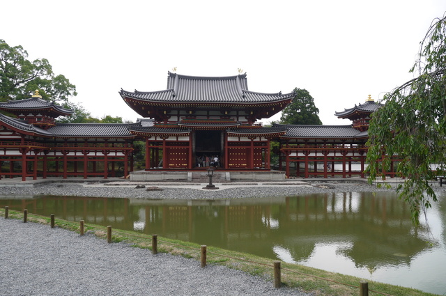 P1100381.JPG