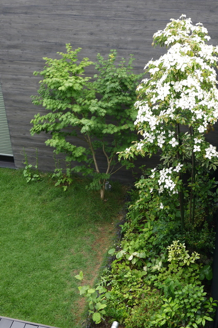 P1100465.jpg