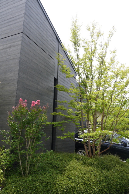 P1100515.jpg
