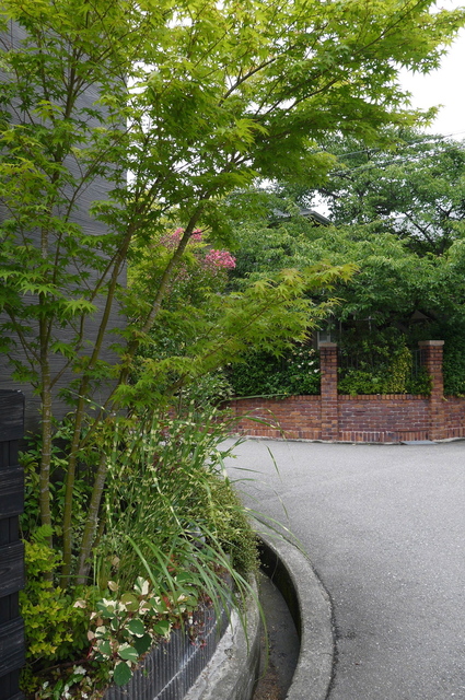 P1100521.jpg