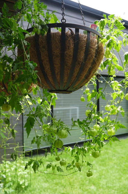 P1100530.jpg