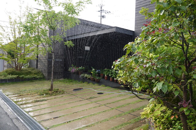 P1100880.JPG