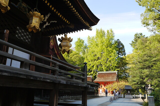 P1110961.JPG