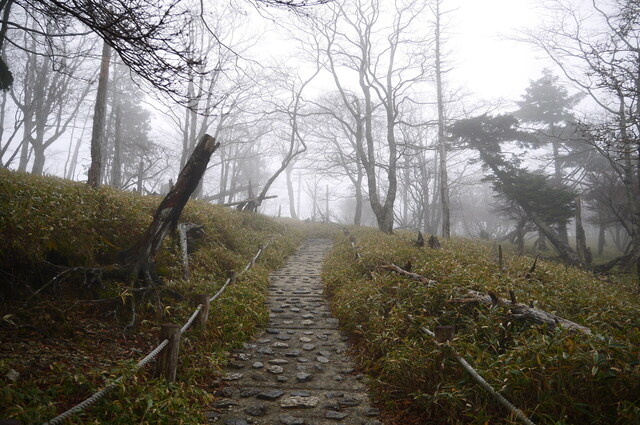 P1120035.JPG