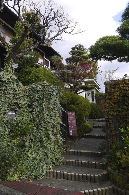 P1120194.jpg