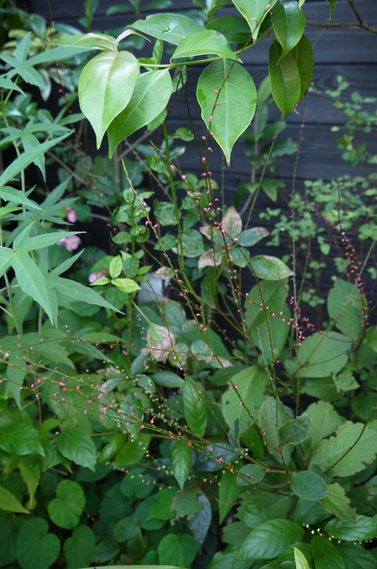 P1150733.jpg