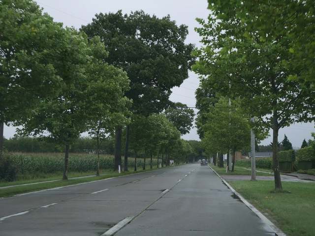 P1150734.jpg