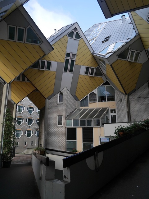 P1150764.jpg
