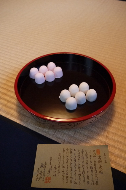 P1150828.JPG