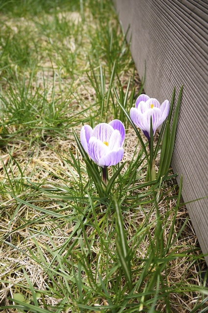 P1150989.jpg