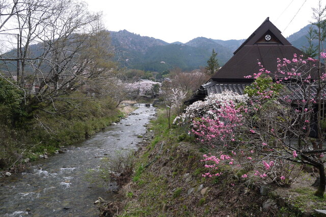 P1160246.JPG