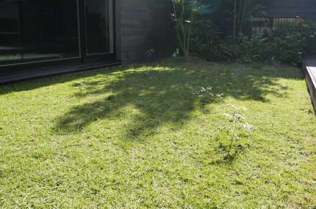 P1160934.JPG