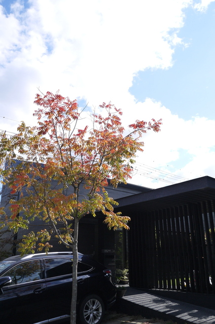 P1160943.jpg
